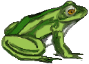 frog