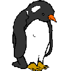 penguin