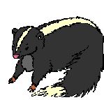 skunk