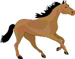 horse