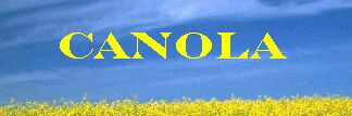 Canola banner