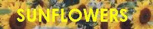 Sunflower banner